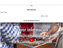 Tablet Screenshot of caminoalagro.com